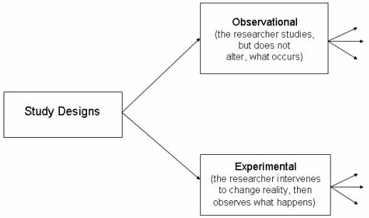 correlational vs experimental studies worksheet